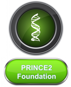 Prince2_Fdn_combined6